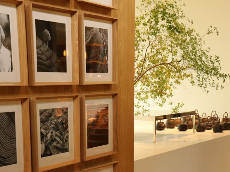 Immerse your senses in a refined tea ceremony at POUYUENJI HILLS, where architecture, ritual, and mountain-grown puer tea come together in quiet harmony.