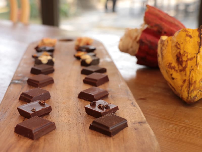 From cacao pod to finished bar—walk through an award-winning cocoa farm and taste how Taiwan’s tropical terroir shapes fine chocolate.