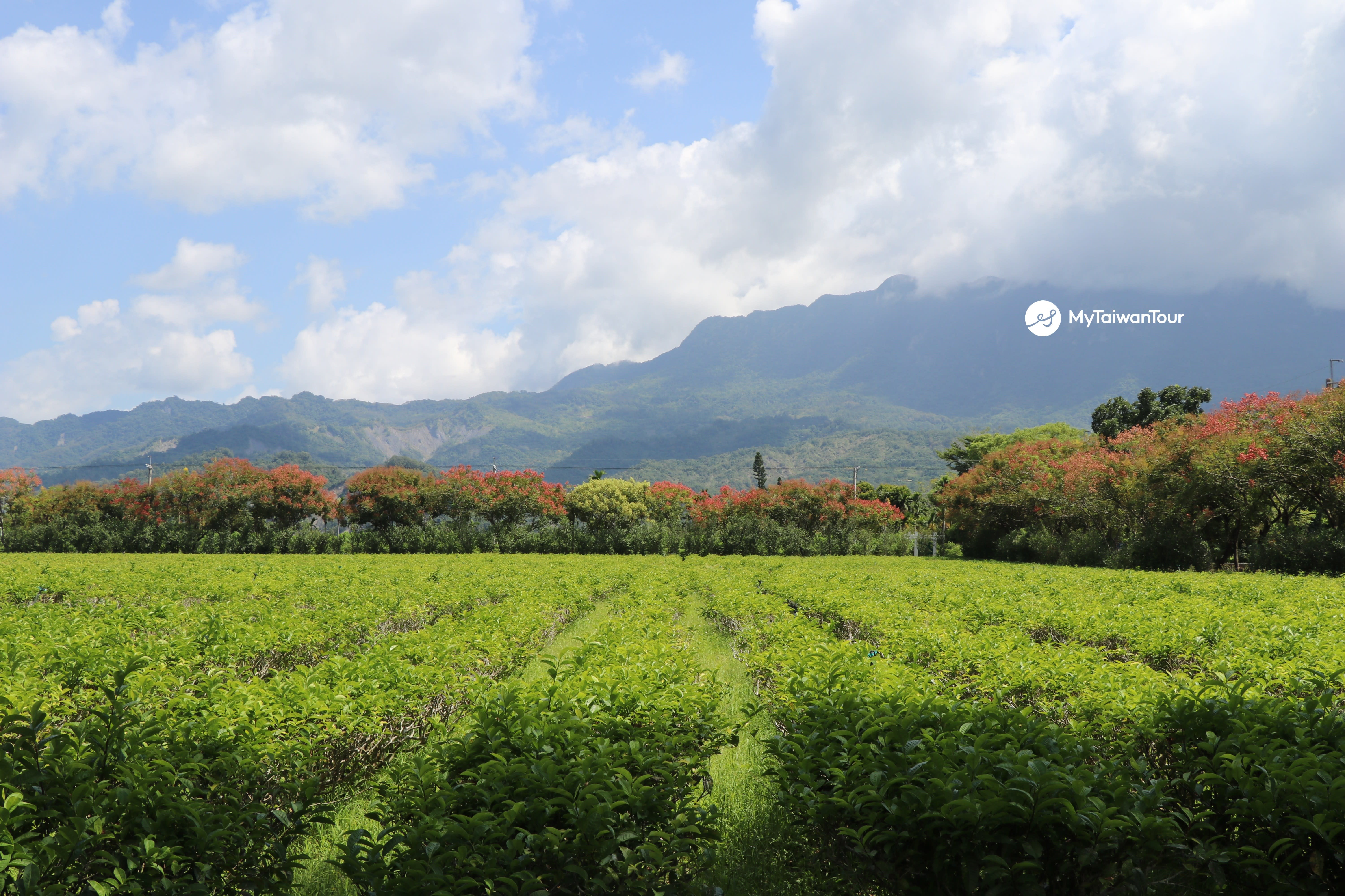 Eastern Beauty 5 Day Private Tour (Premium)