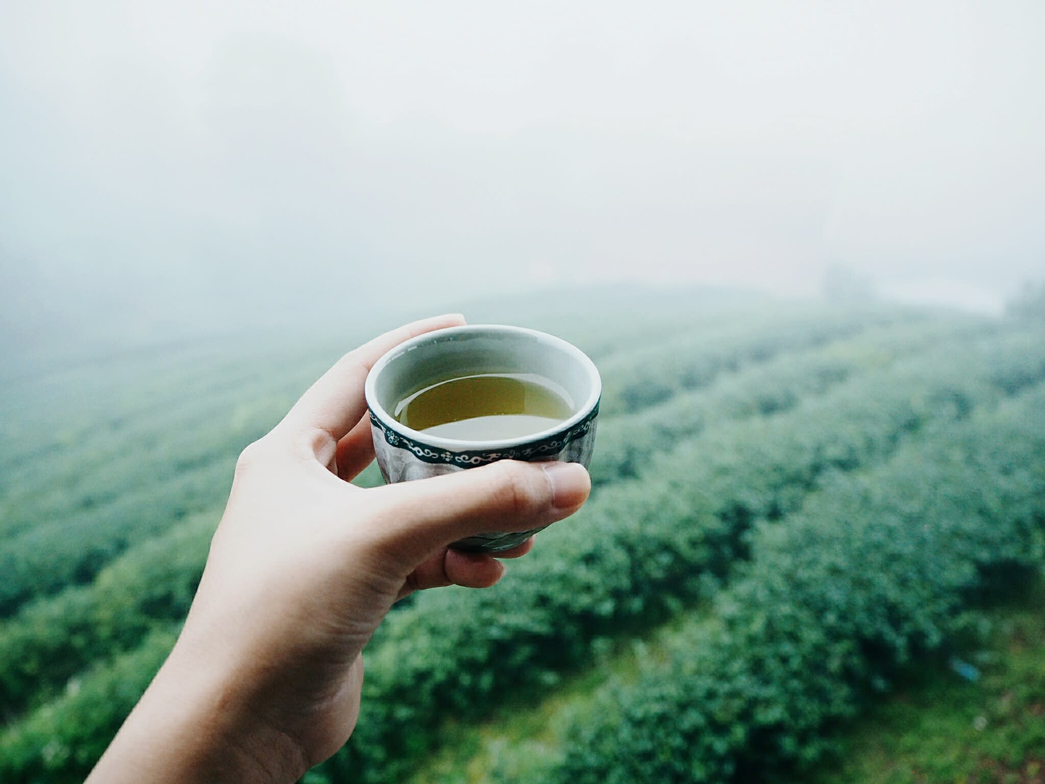 Tea With a View: Where to Drink Tea in Taipei (and Beyond)