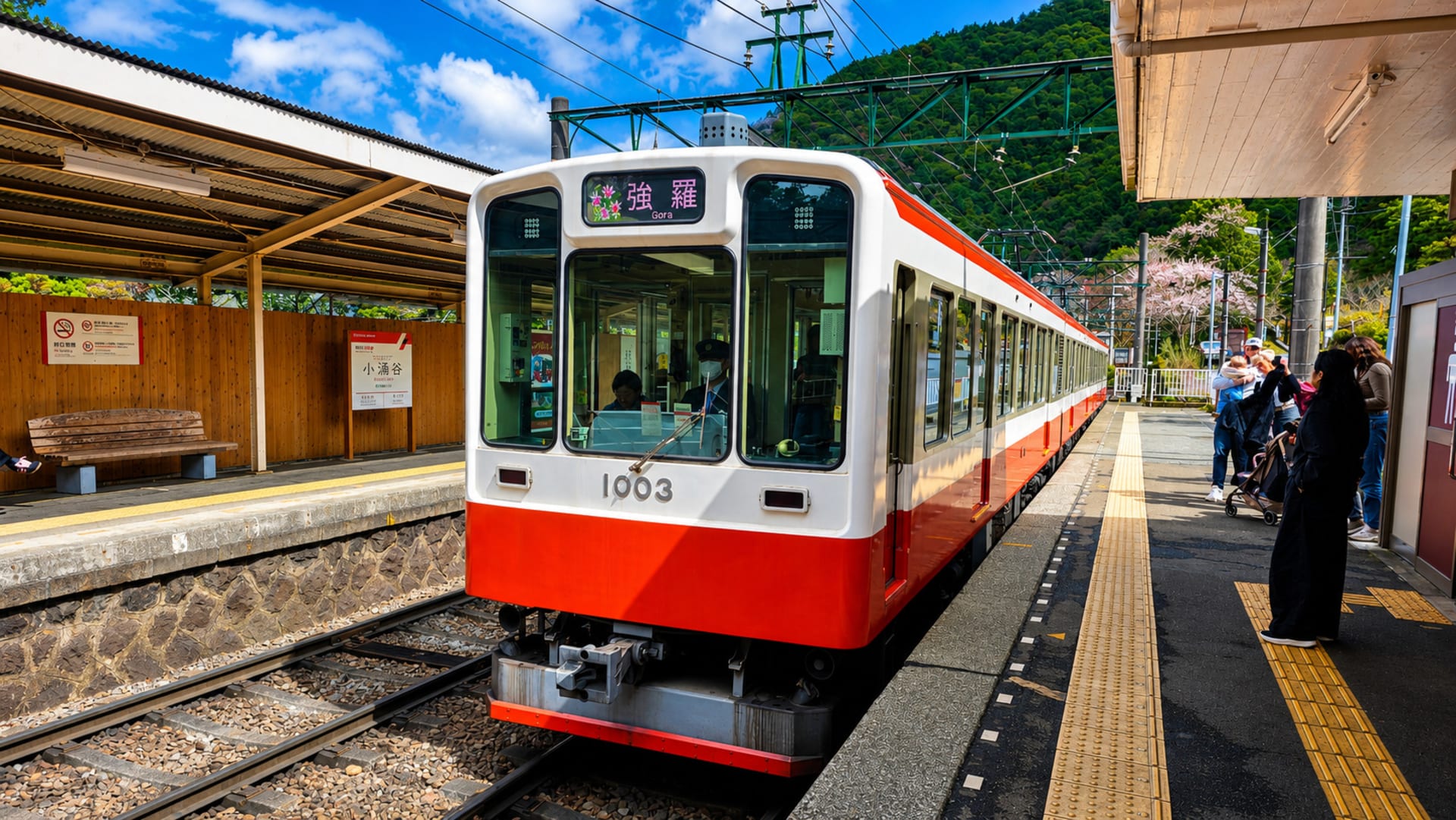 Historic Trains and Mountain Charm
