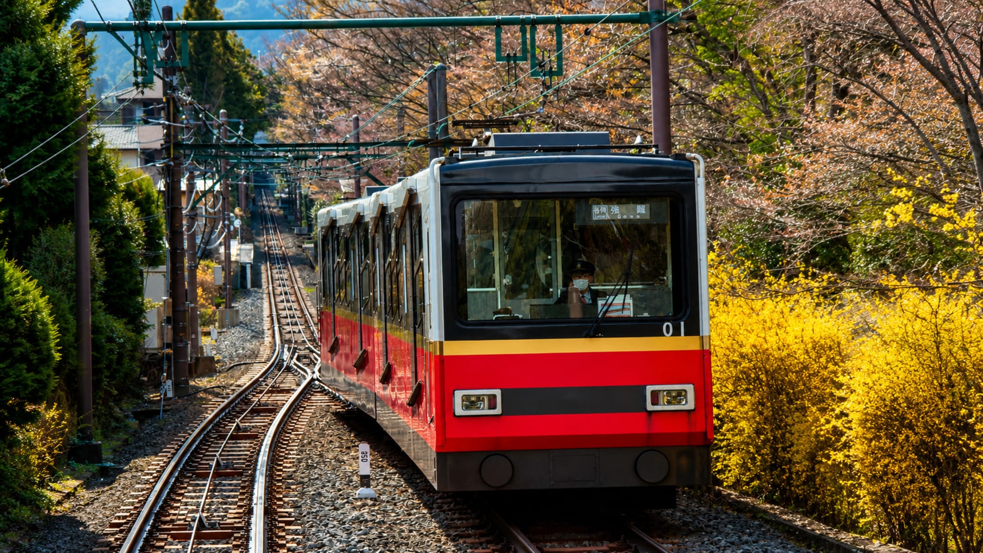 Climbing Higher: The Hakone Funicular