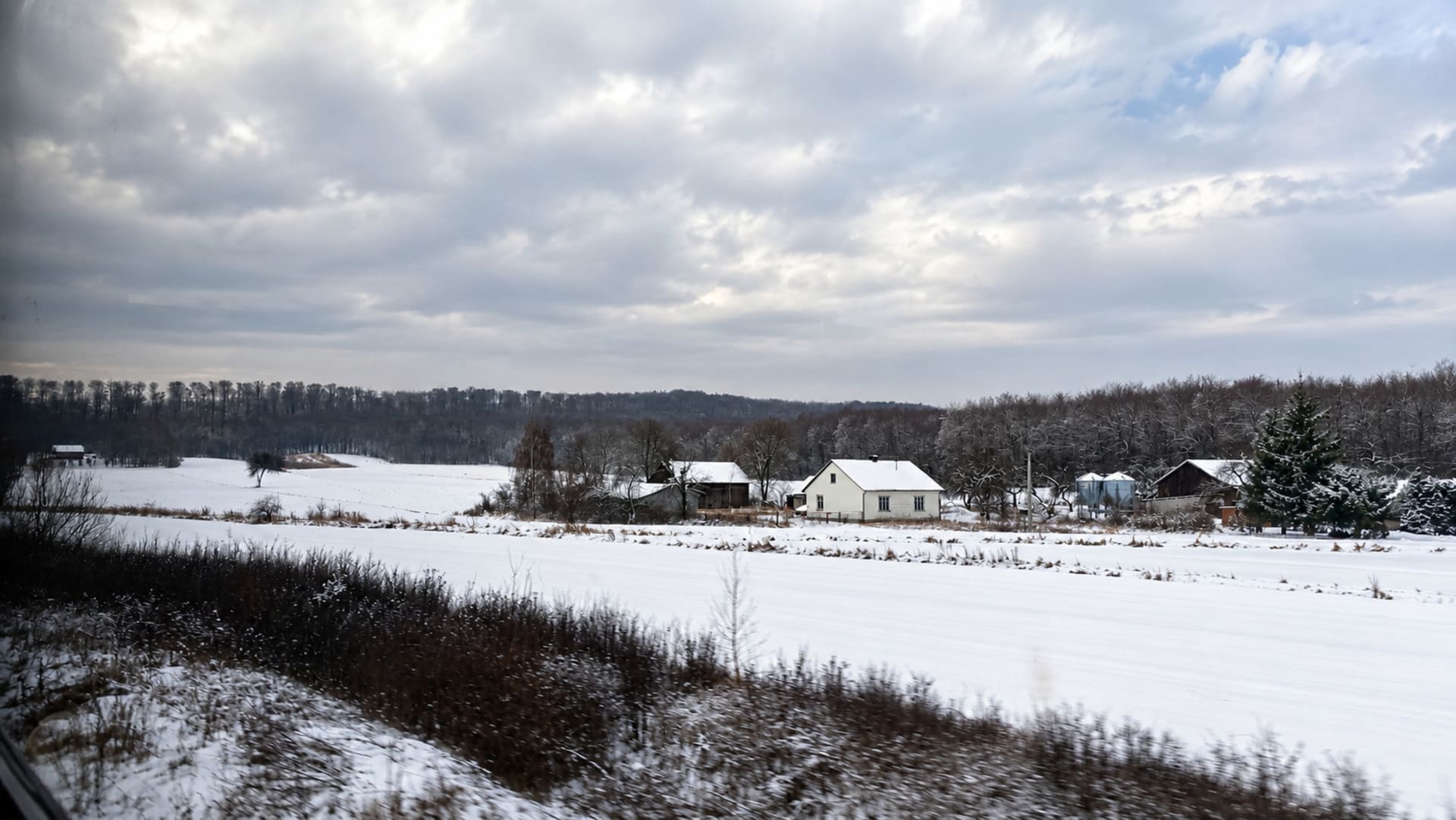 Why RegioJet Failed in Poland