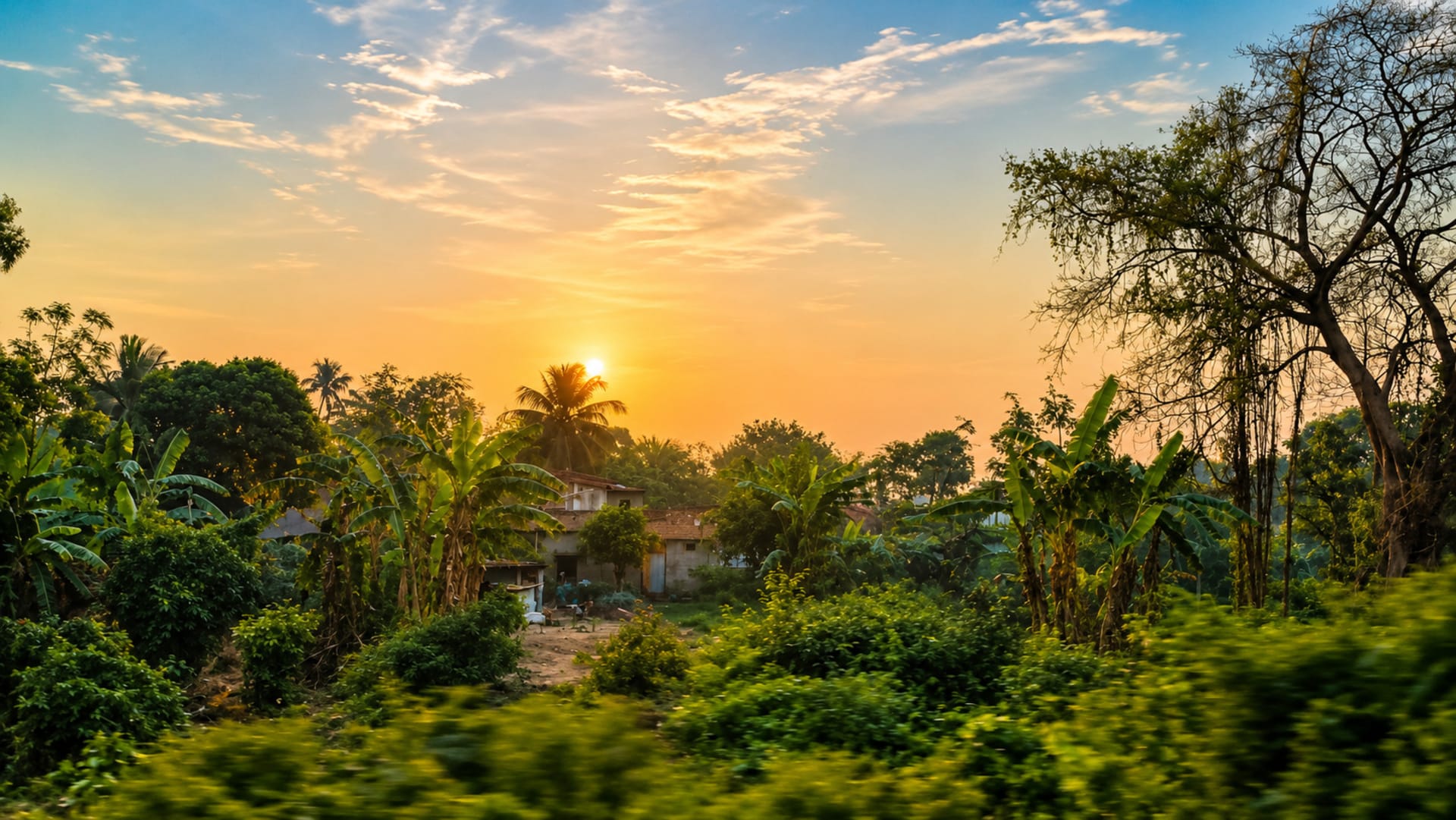 Morning From West Bengal