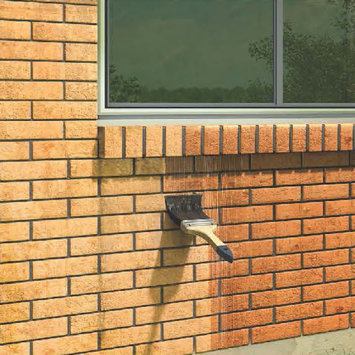 sika-transparente-5 galería 2