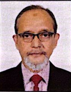 Vice President