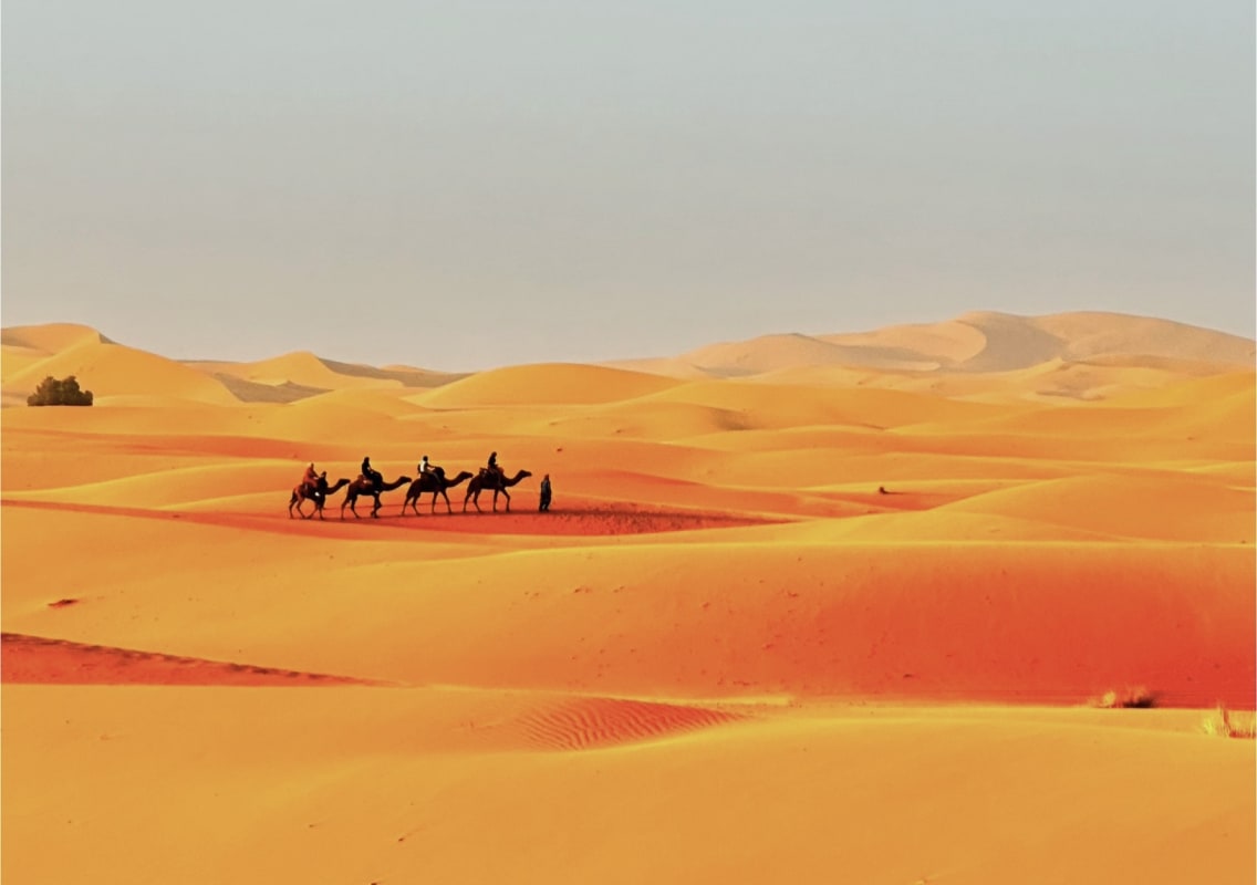 Discover the magic of Morocco: A 3-day journey from Marrakech to Fez through the desert and mountains