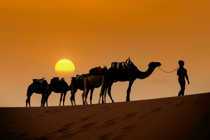 Four days in the heart of the desert gallery 3