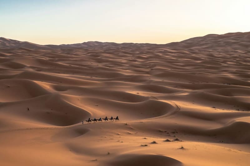 Four days in the heart of the desert gallery 1