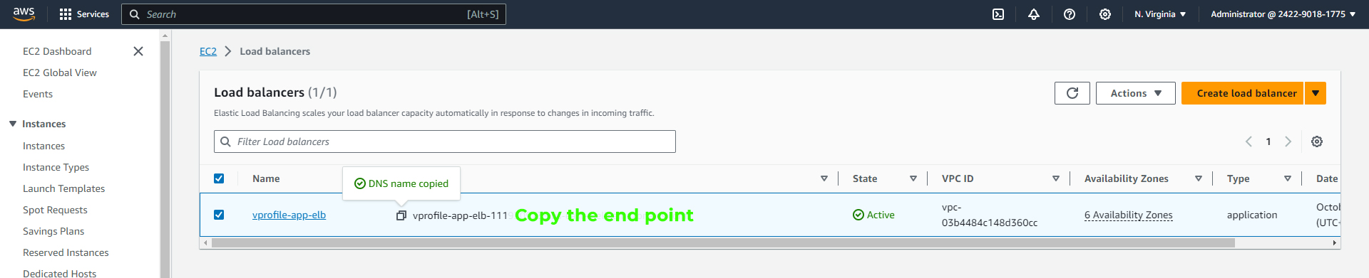 Copy DNS Endpoint