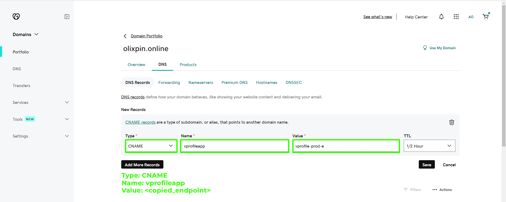 Enter and Save DNS Record