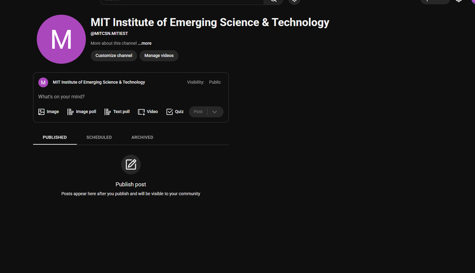 MIT Institute of Emerging Science and Technology