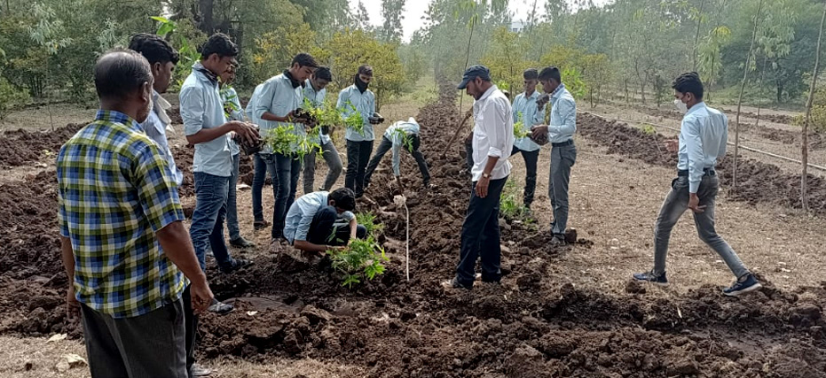 Agricultural Engineering — 4