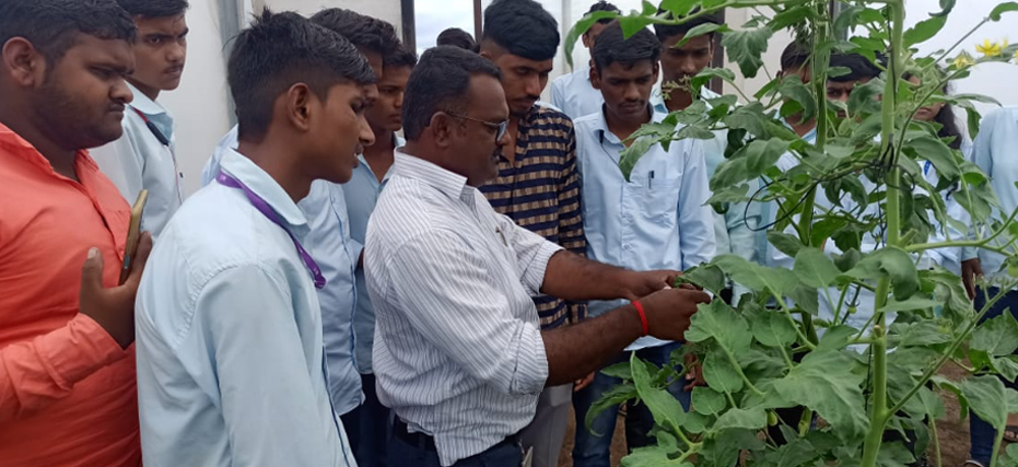 Agricultural Engineering — 5