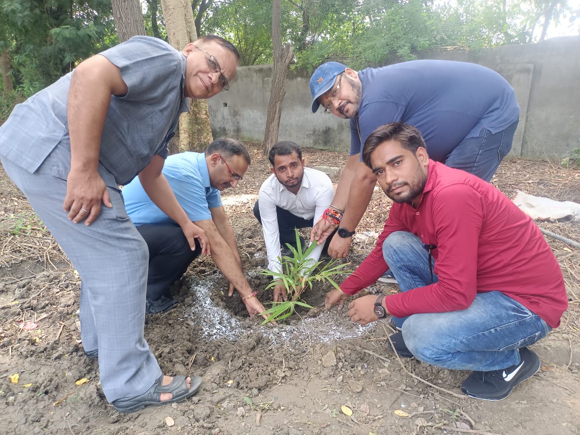 Plantation