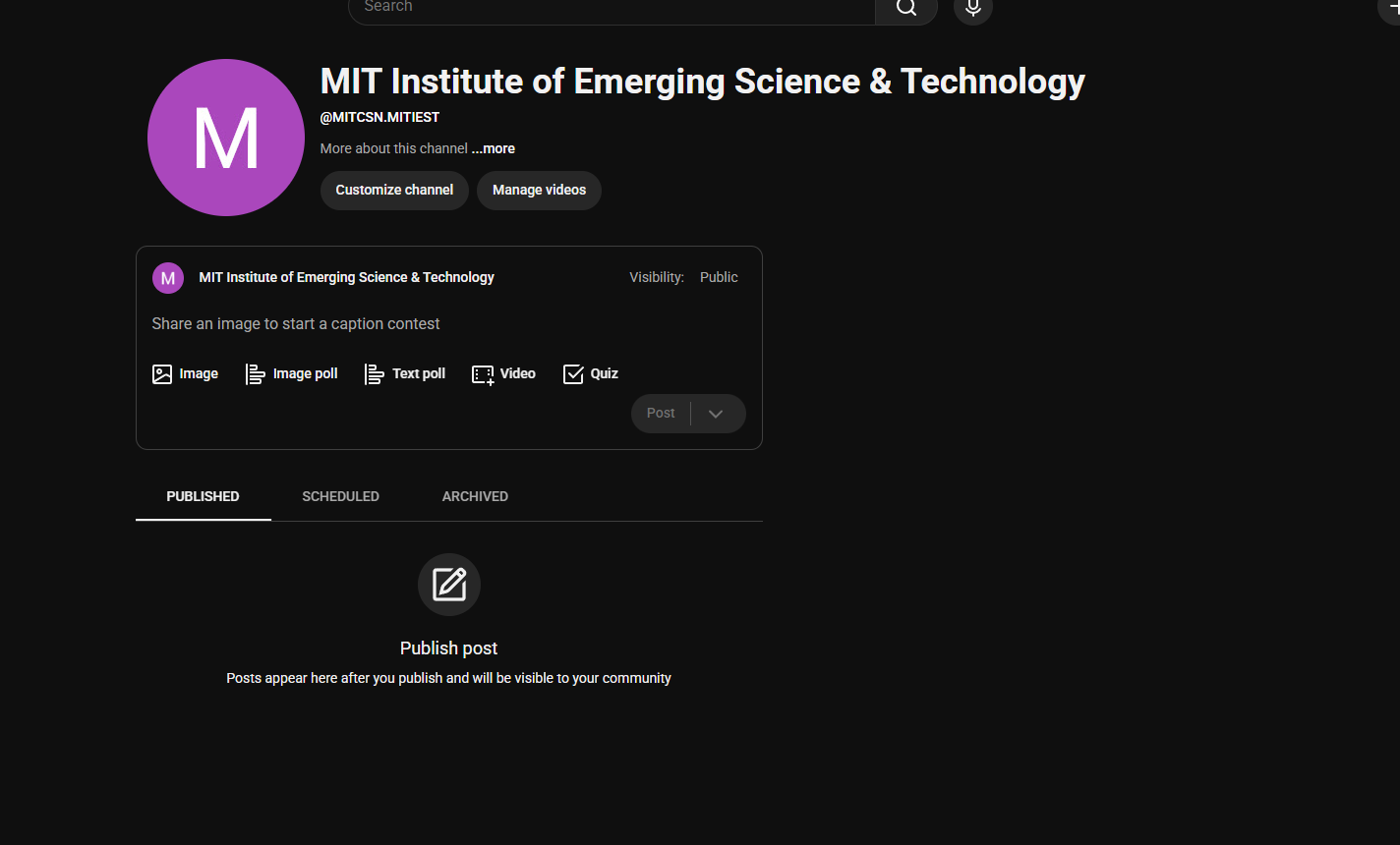 MIT Institute of Emerging Science and Technology