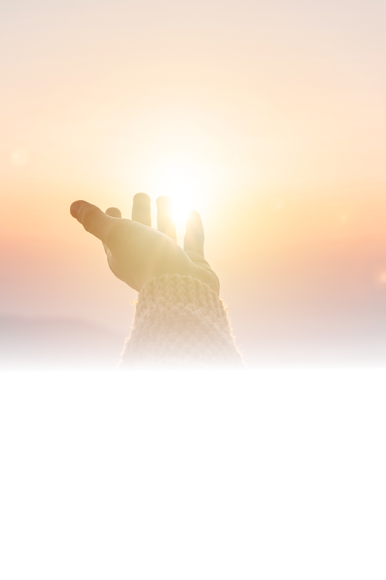 Transparency in donation Mobile