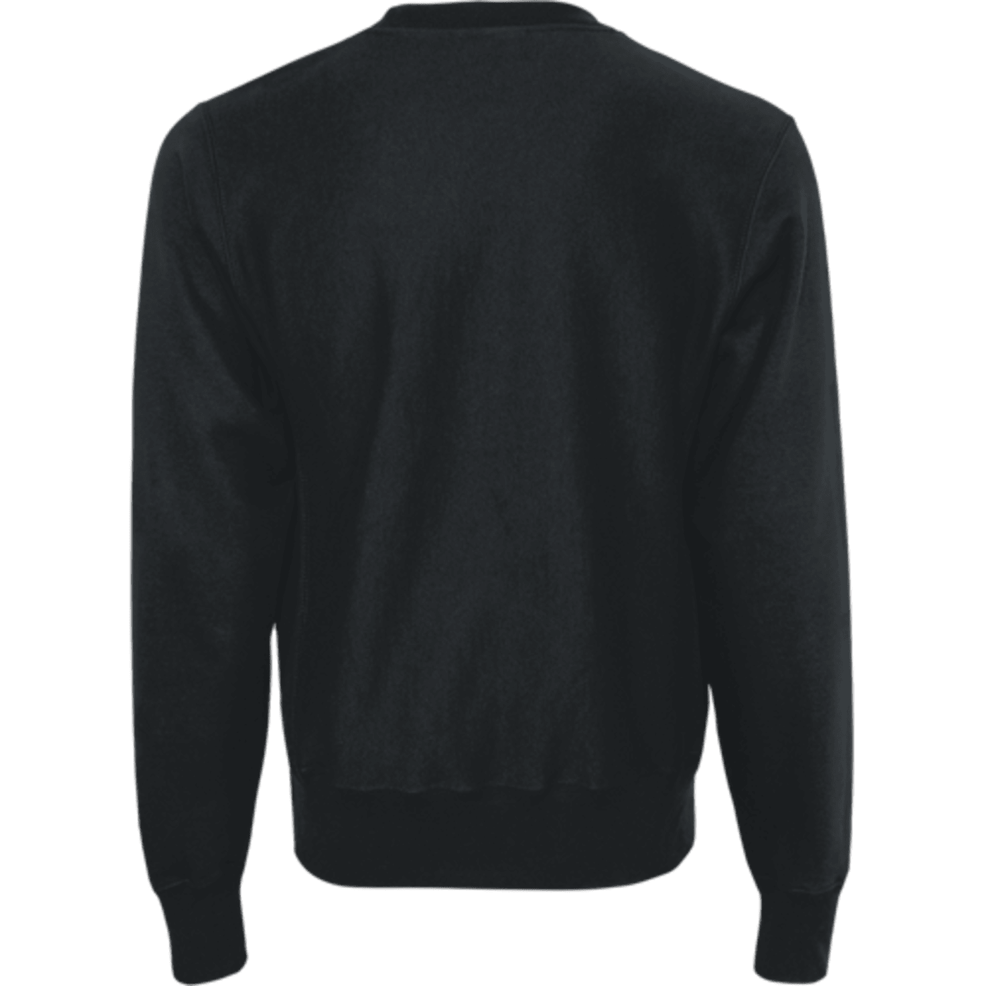 Custom Champion Adult Reverse Weave Fleece Crew - Coastal Reign