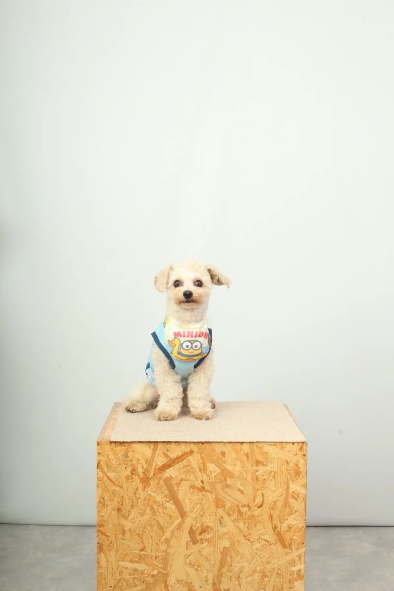 With Petの撮影例