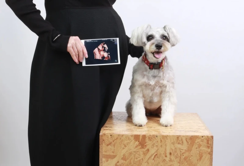 With Petの撮影例