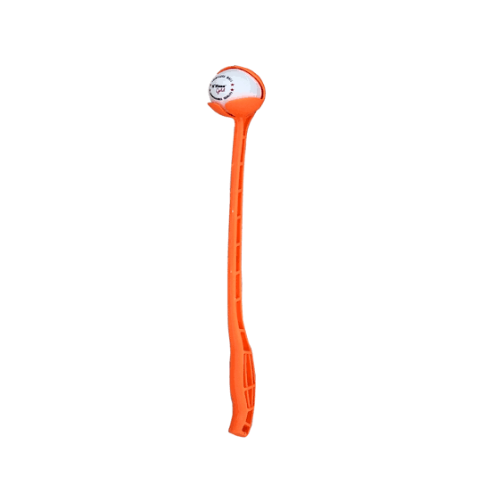 View 2