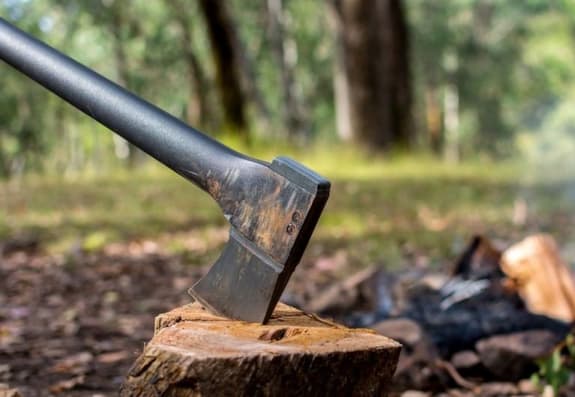 Ermənistanın işğalı dövründə təbiət abidəsi statuslu 11 ağac məhv edilib