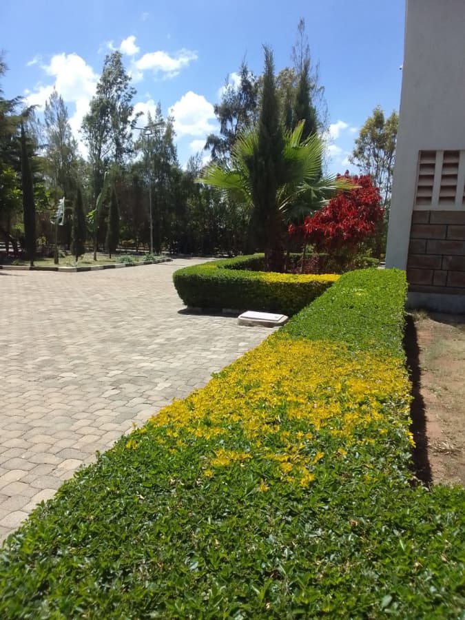 View 10 of 4 Bedroom Bungalow on Sale