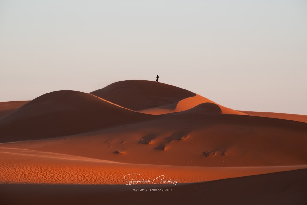 Early morning in Sahara