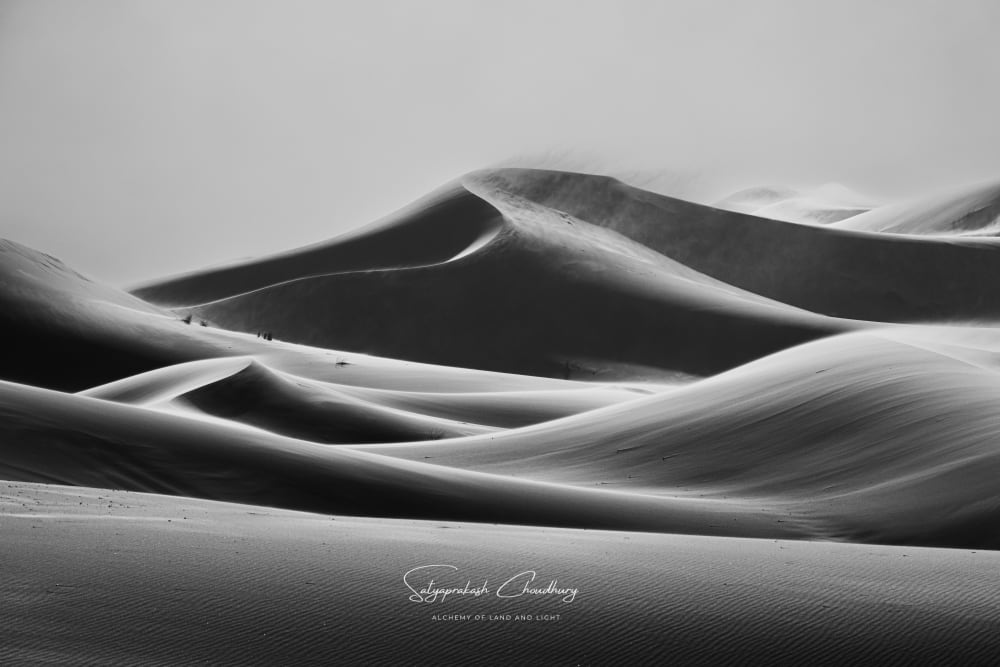 _DSF0763-2