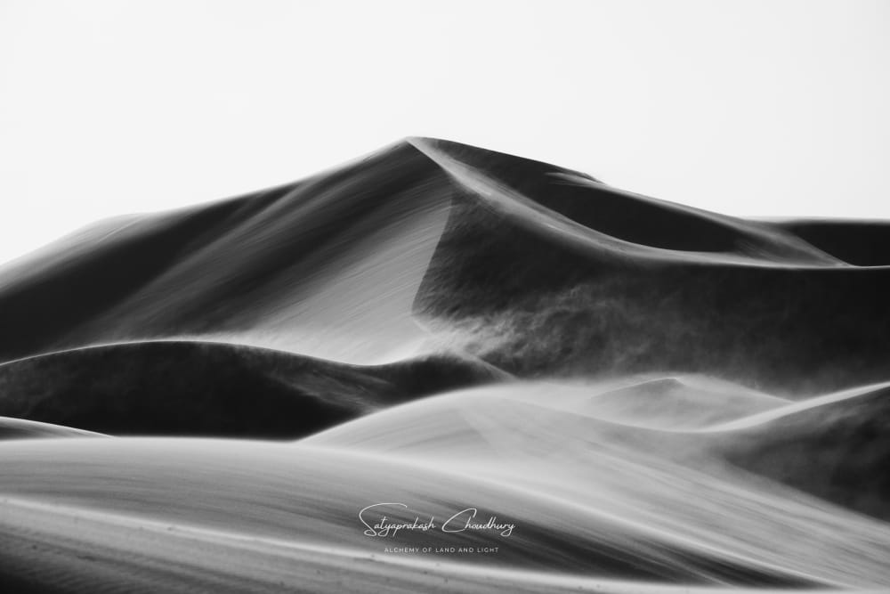 _DSF0773-6
