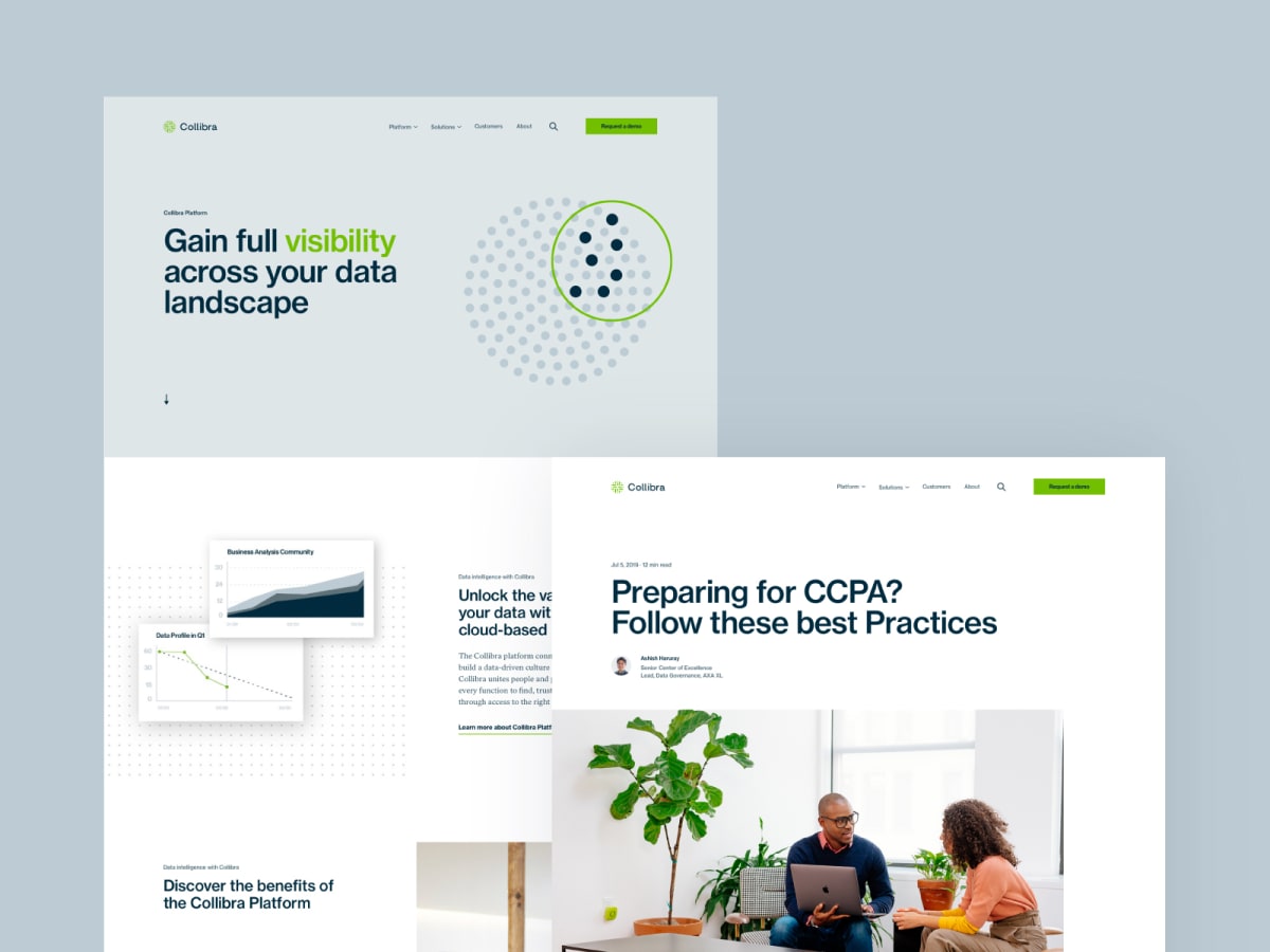Collibra Website project thumbnail