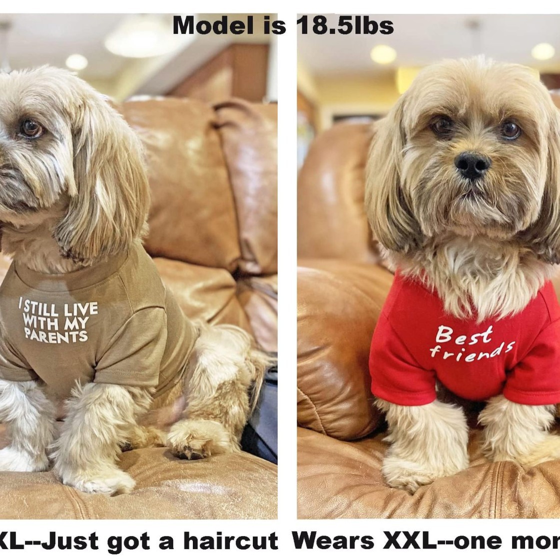 Quick‑Fit Pet T‑Shirt – Easy Slip‑On Design for Stress‑Free Dressing, view 3