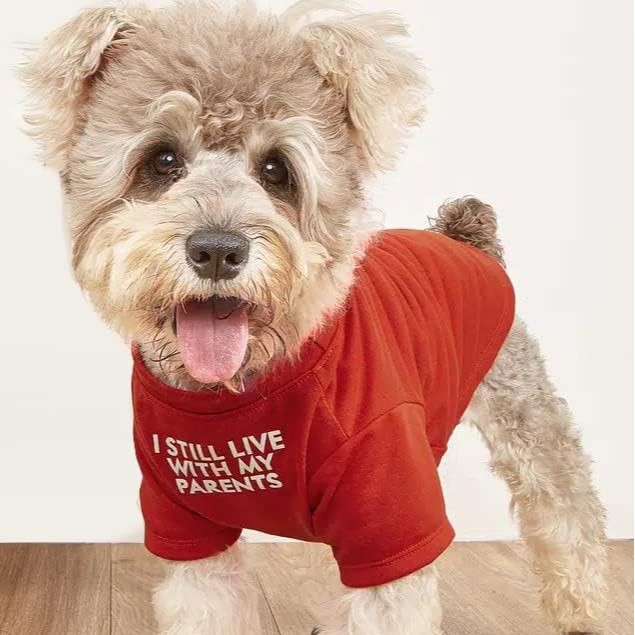 Quick‑Fit Pet T‑Shirt – Easy Slip‑On Design for Stress‑Free Dressing, view 2