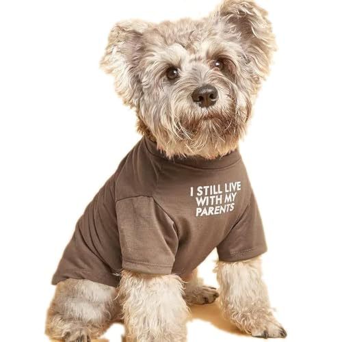 Quick‑Fit Pet T‑Shirt – Easy Slip‑On Design for Stress‑Free Dressing