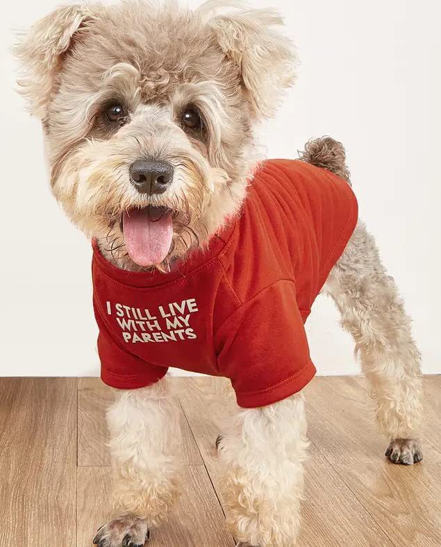 Quick‑Fit Pet T‑Shirt – Easy Slip‑On Design for Stress‑Free Dressing, view 5