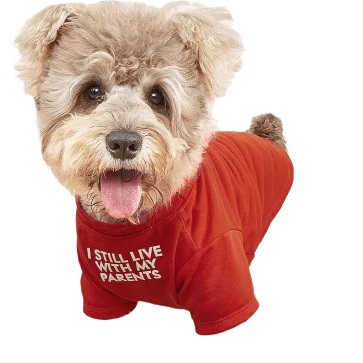 Quick‑Fit Pet T‑Shirt – Easy Slip‑On Design for Stress‑Free Dressing, view 6