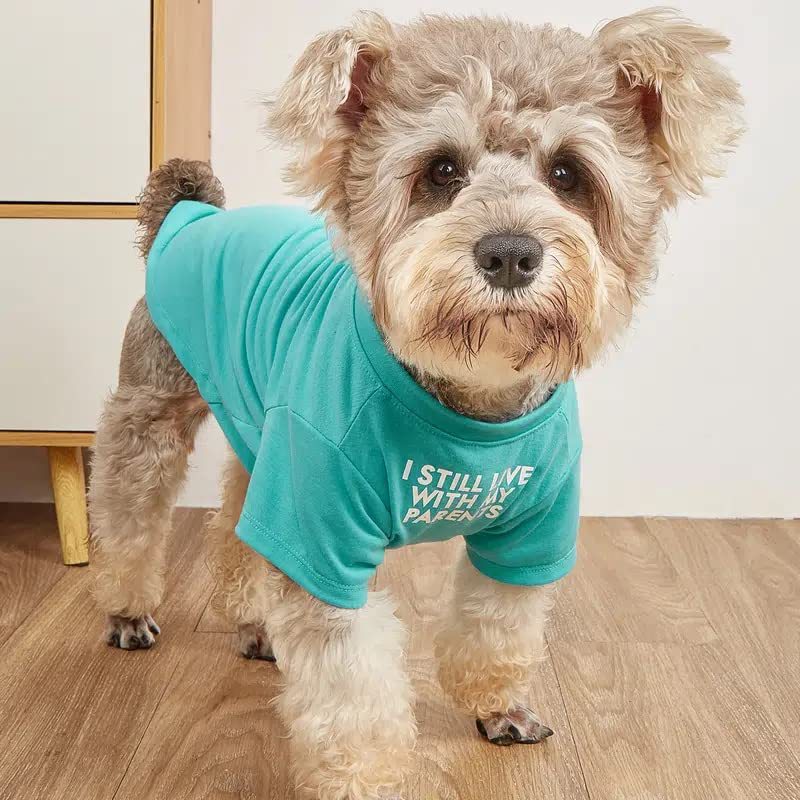 Quick‑Fit Pet T‑Shirt – Easy Slip‑On Design for Stress‑Free Dressing, view 7