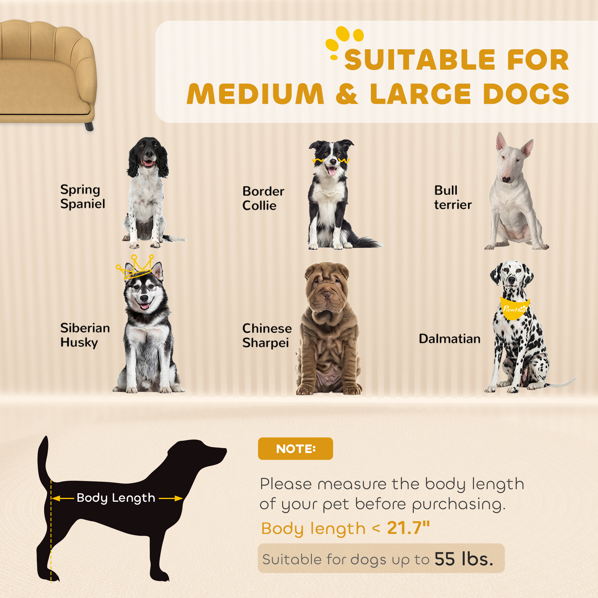 Velvet Pet Sofa – Coffee Finish, Pearl Back, Birch Wood Legs, 55 lb Capacity, view 6