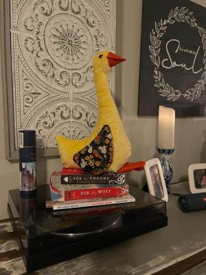 Woollypetals Silly Goose stuffed fabric goose displayed on stacked books