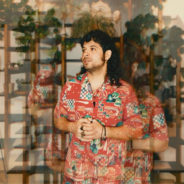Flamingosis background