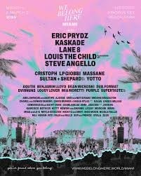We Belong Here Miami