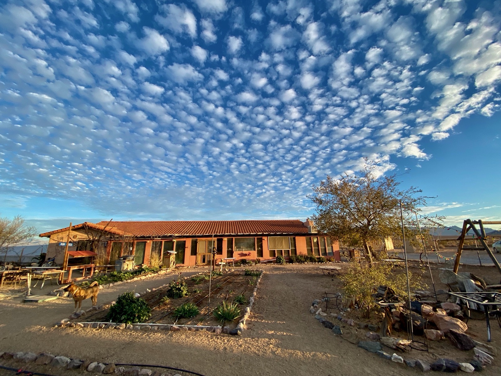 10-Acre Off-Grid Estate & Agribusiness Compound | Tecopa, CA