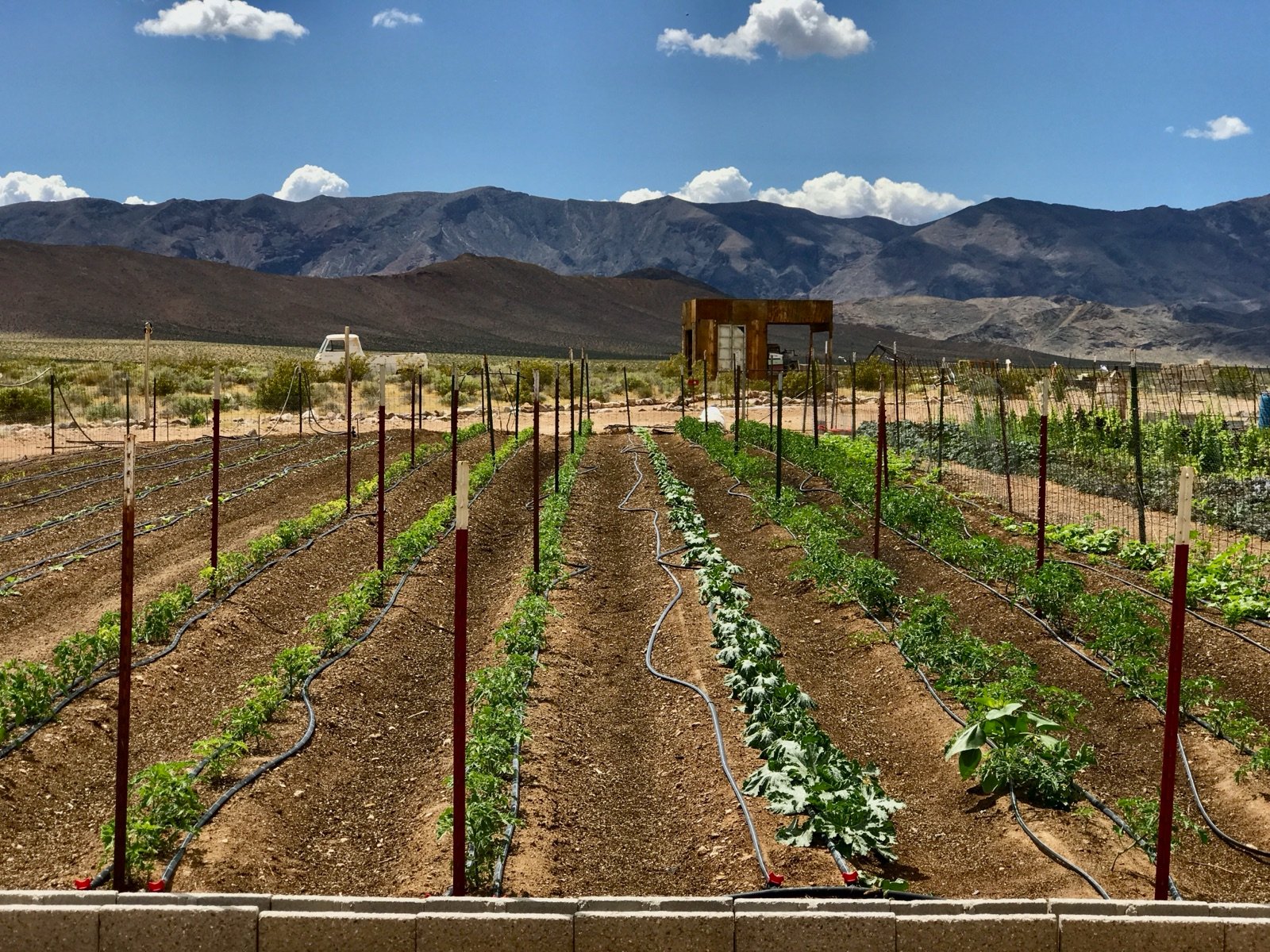 10-Acre Off-Grid Estate & Agribusiness Compound | Tecopa, CA