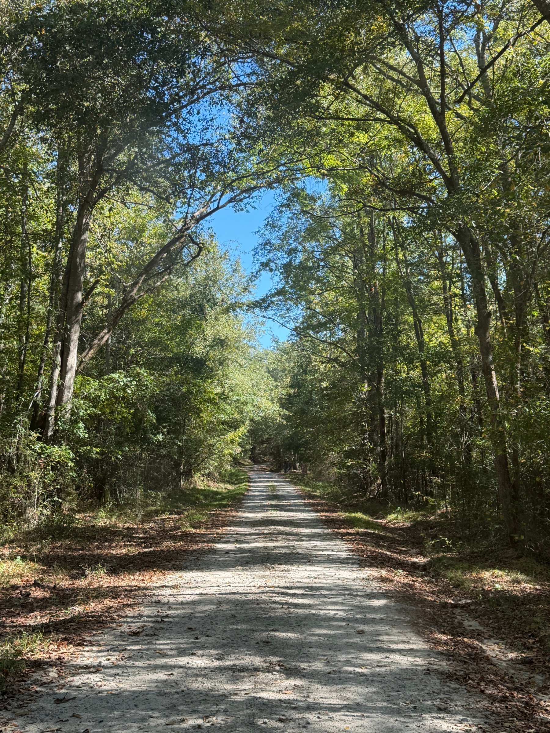 Rurual Property, Peaceful in the country