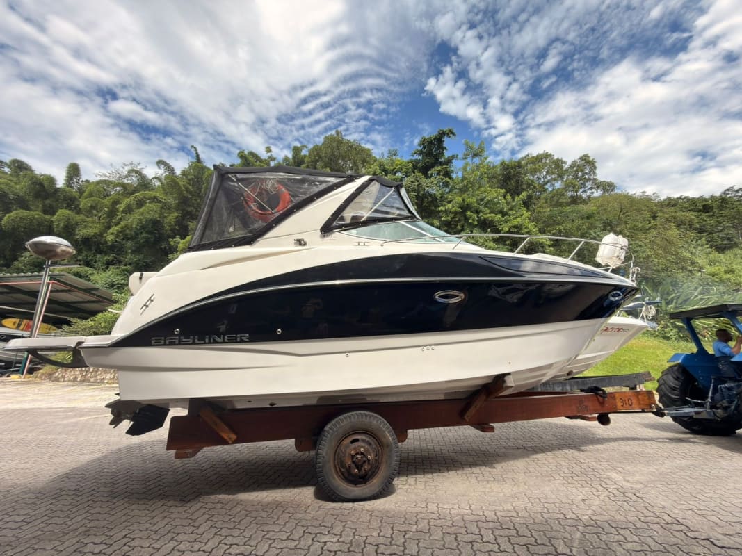 Bayliner 310