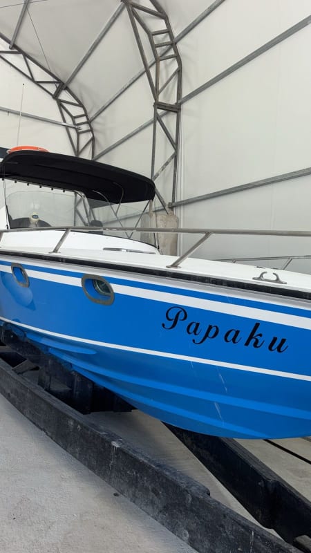 Phanter 33