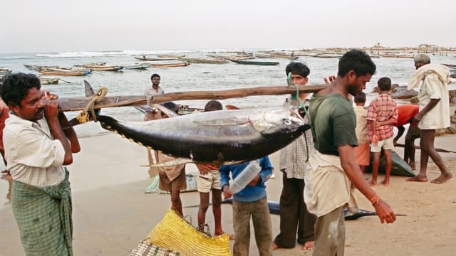 बंगाल की खाड़ी में चक्रवात अरनब की आहट: 28 अक्टूबर को लैंडफॉल