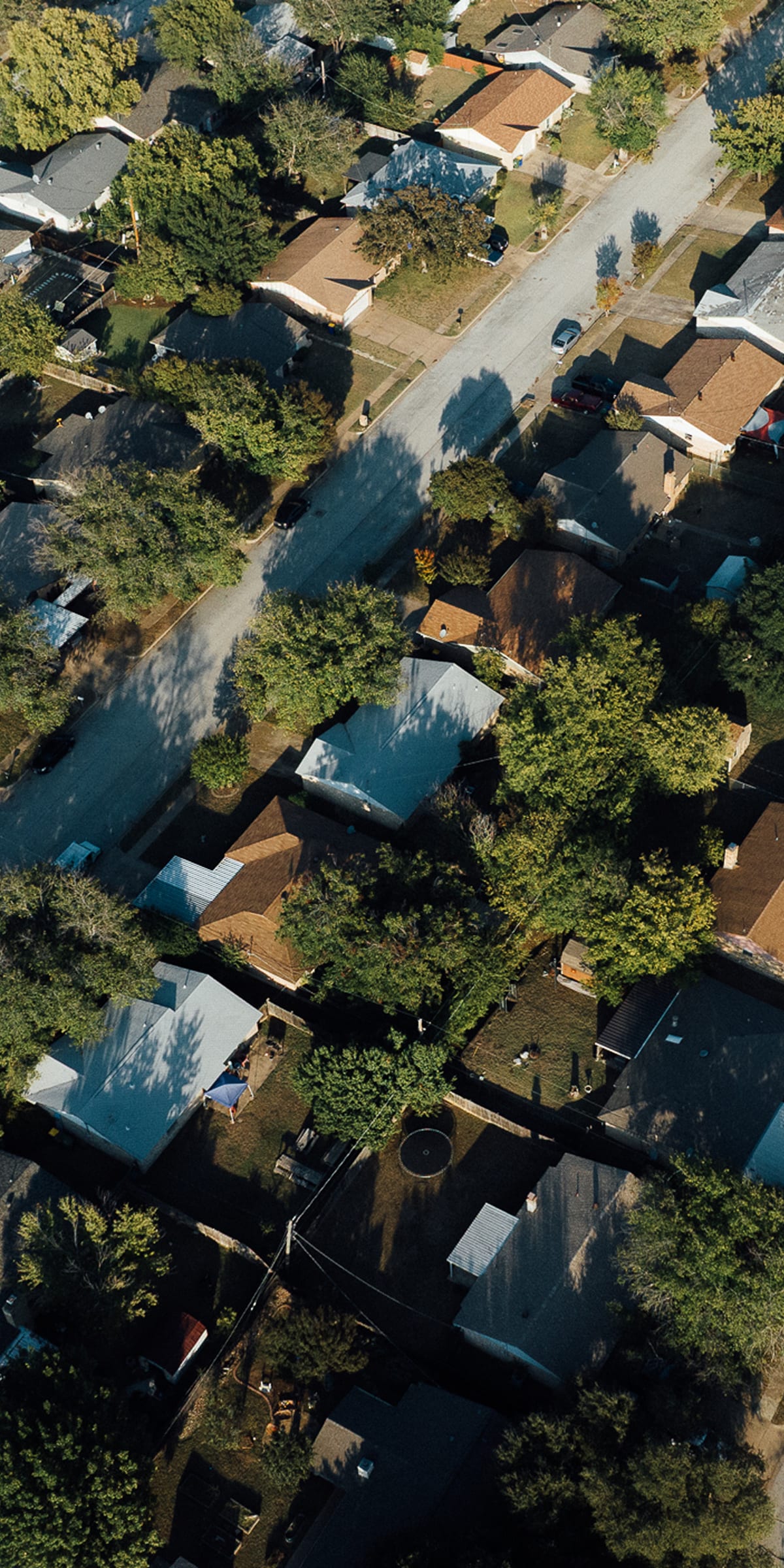 An aerial view over rooftops and trees