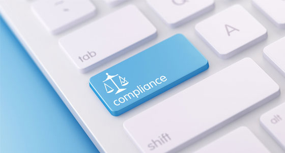 excise-return-filing