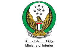 Government Icons